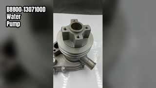 B8800-1307100D Water Pump