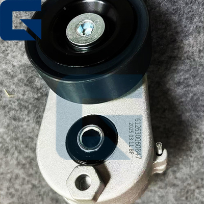 Truck Part Number VG1246060005 D12 Pulley Tensioner and Durable